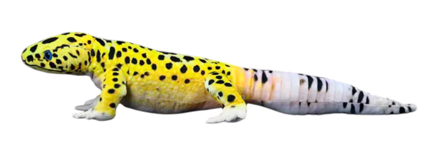 Weighted 0.5-2lbs 26" Leopard Gecko Plush for Anxiety, ADHD, Stress, Autism, Comfort Therapy Stuffed Animal