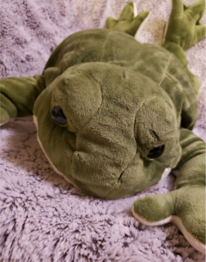 Weighted 1-5lbs Large Frog Plush for Anxiety, ADHD, Stress, Autism, Comfort Therapy Stuffed Animal