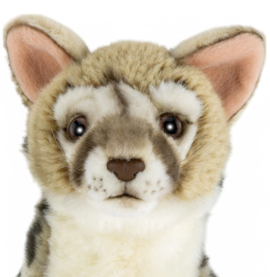 Weighted 0.5-2lbs Genet Cat Plush for Anxiety, ADHD, Stress, Autism, Comfort Therapy Stuffed Animal