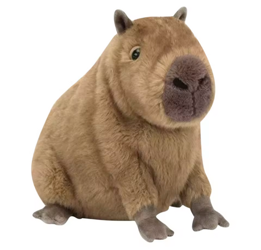 Weighted 0.5-2lbs 10" Capybara Plush for Anxiety, ADHD, Stress, Autism, Comfort Therapy Stuffed Animal
