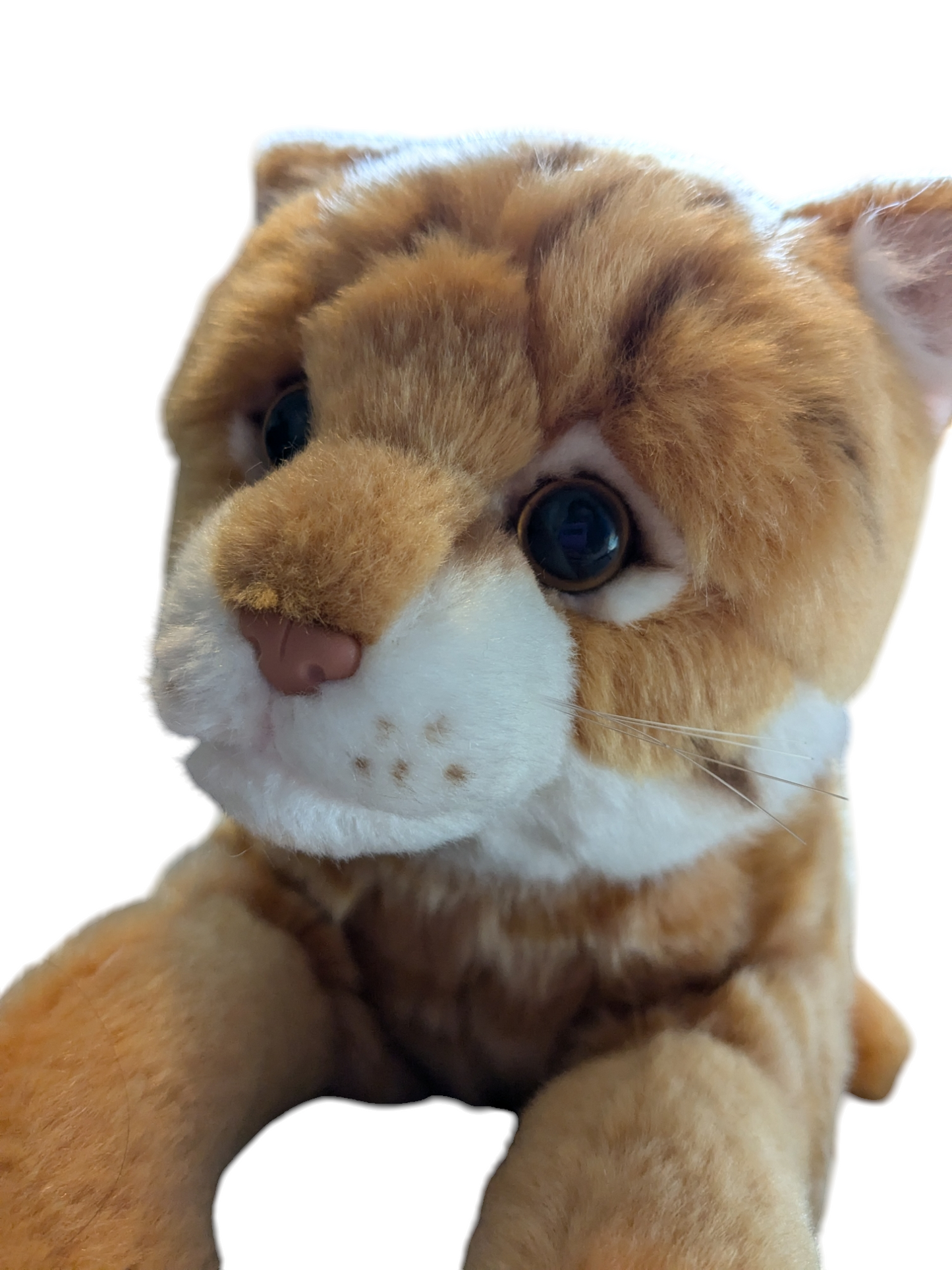 Weighted 0.5-1.5lbs Orange and White Cat Plush for Anxiety, ADHD, Stress, Autism, Comfort Therapy Stuffed Animal